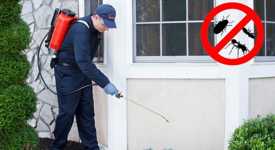 Nazımiye Böcek İlaçlama böcek ilaçlama ve haşere kontrolü — ilaclama-tr.com